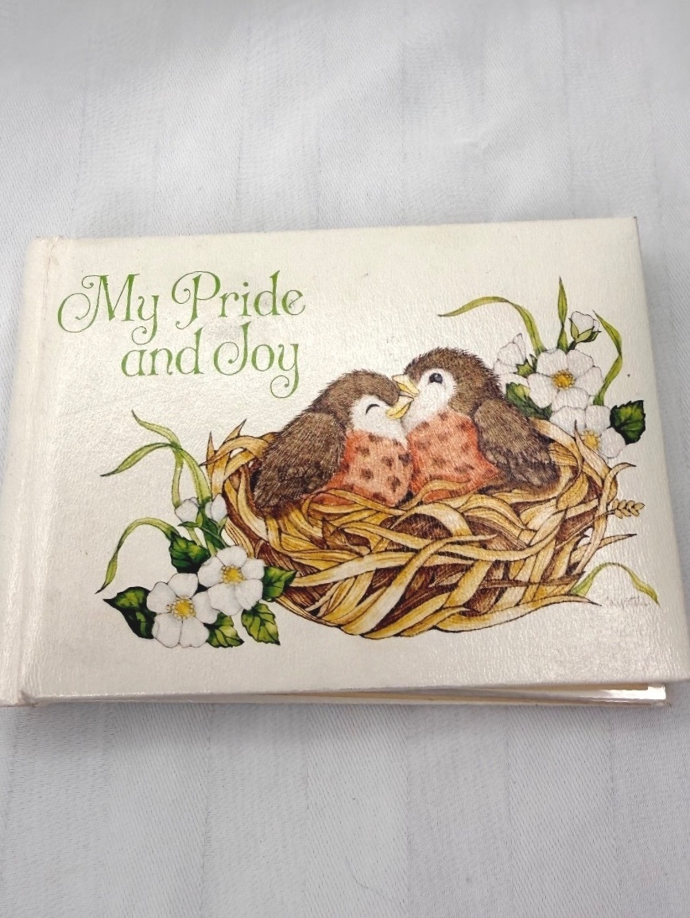 1980 Vintage Current, Inc. My Pride & Joy Bird Photo Album 5157